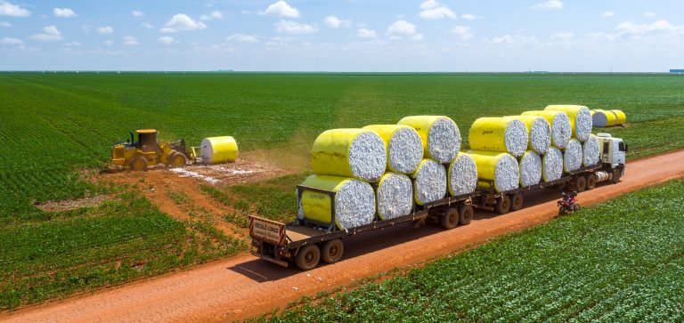 Amaggi expande área de algodão em 33% com investimento de R$ 1 bi