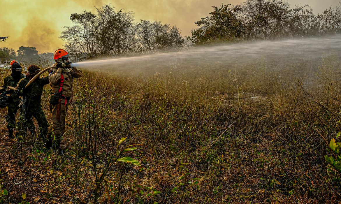 Junho registra alta em focos de incêndio na região amazônica