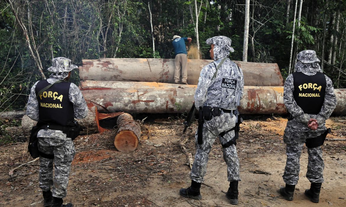 Mato Grosso lidera desmatamento da Amazônia em fevereiro