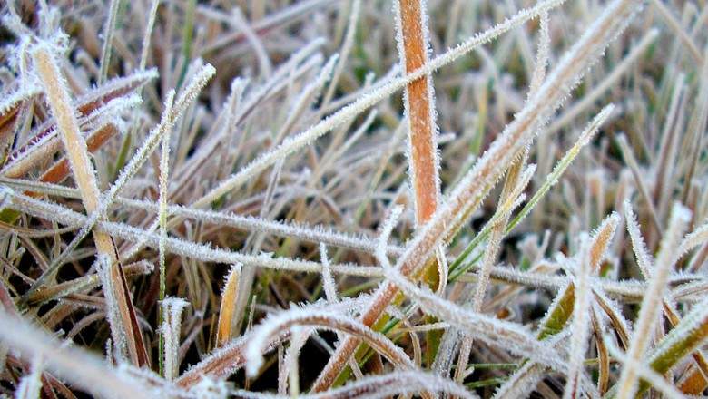 Se antes era a terra, hoje o desafio dos produtores do Mato Grosso é o clima