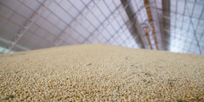 Déficit de armazenagem preocupa produtor de milho e soja