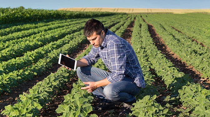 Agricultura 4.0 é tema de curso oferecido pela Bayer