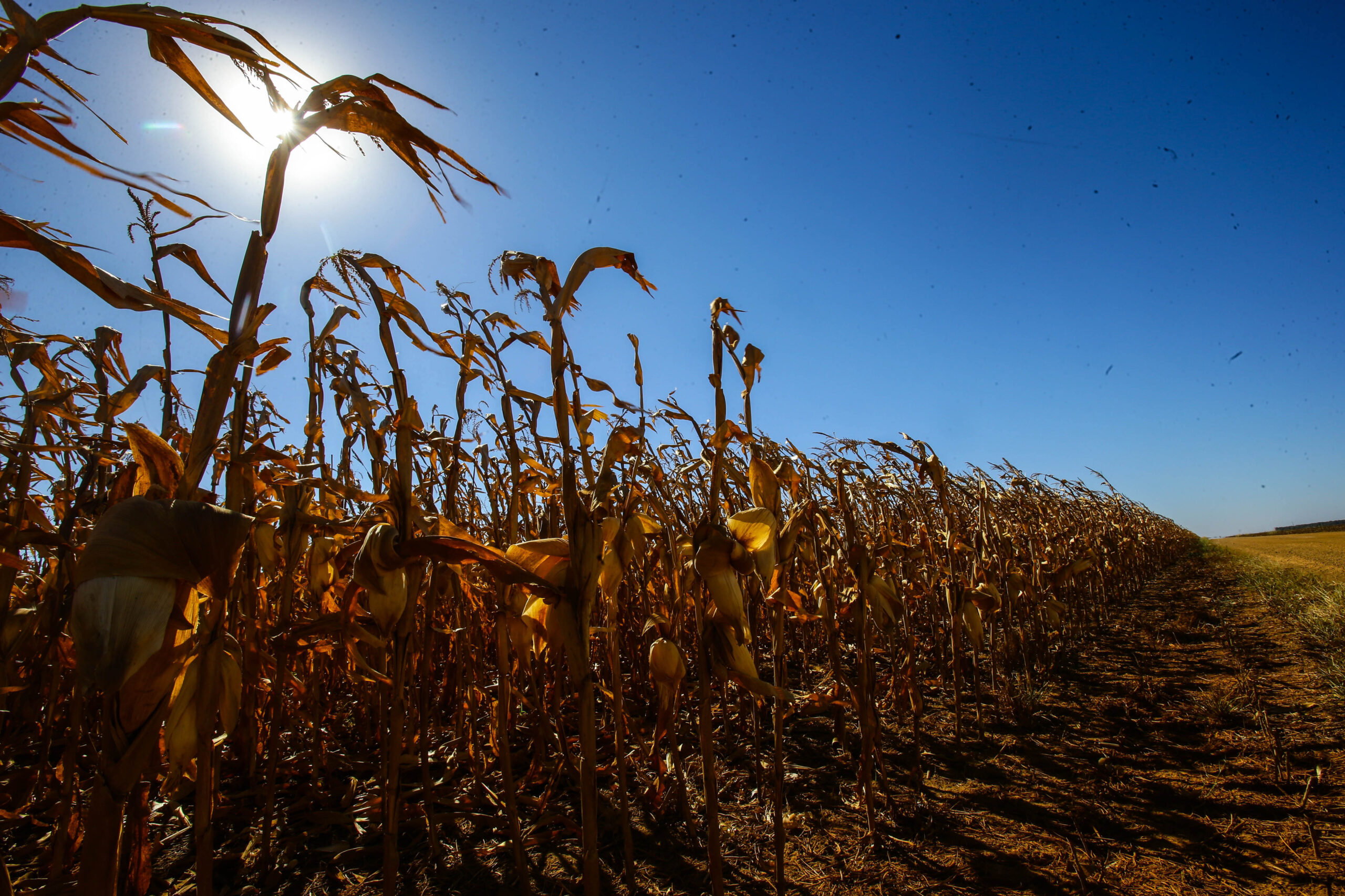 Extremos climáticos estão mais frequentes em Mato Grosso, diz Climatempo