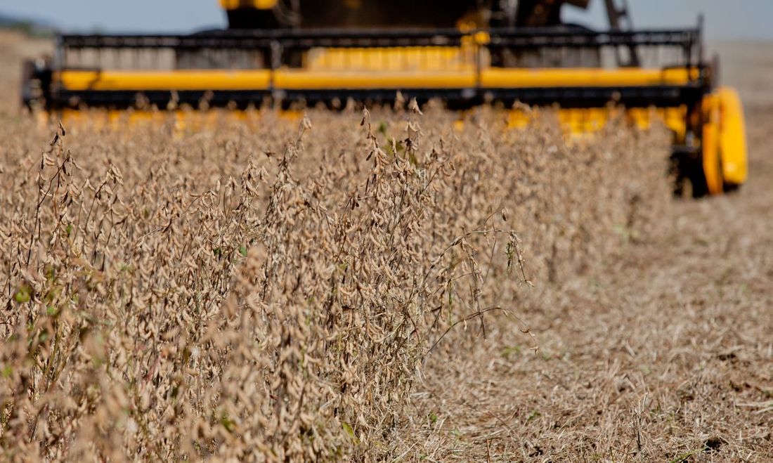 Mato Grosso tem queda de 1,09% em processamento da soja em julho