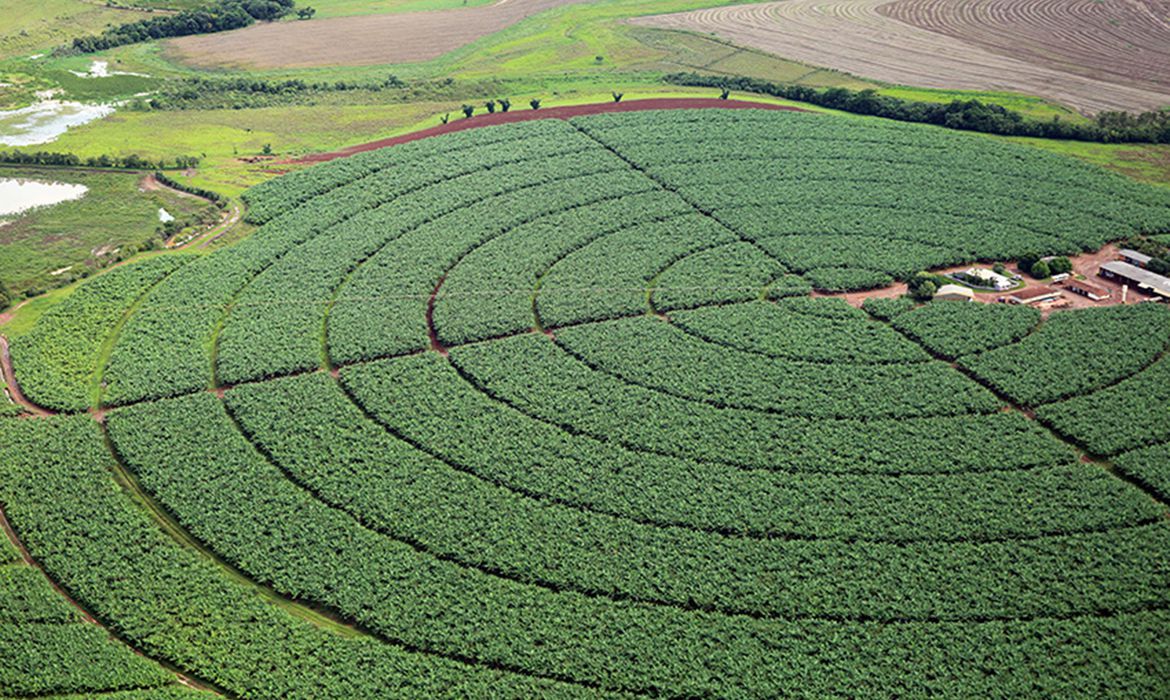 Exportações do agro crescem 15,8% em julho