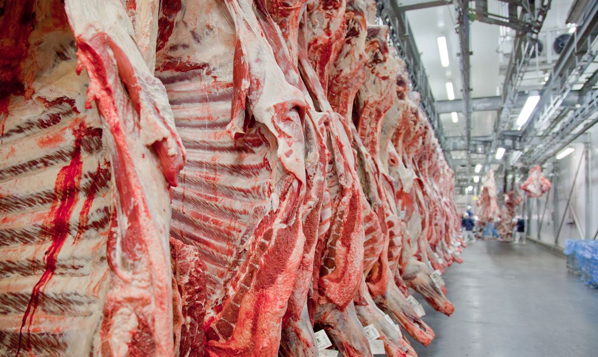 Exportações de carne bovina do Brasil dão salto de 31%