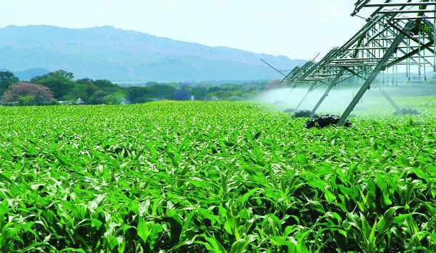 Entrega de fertilizantes cresce 21,4% em junho ante junho de 2020, diz Anda