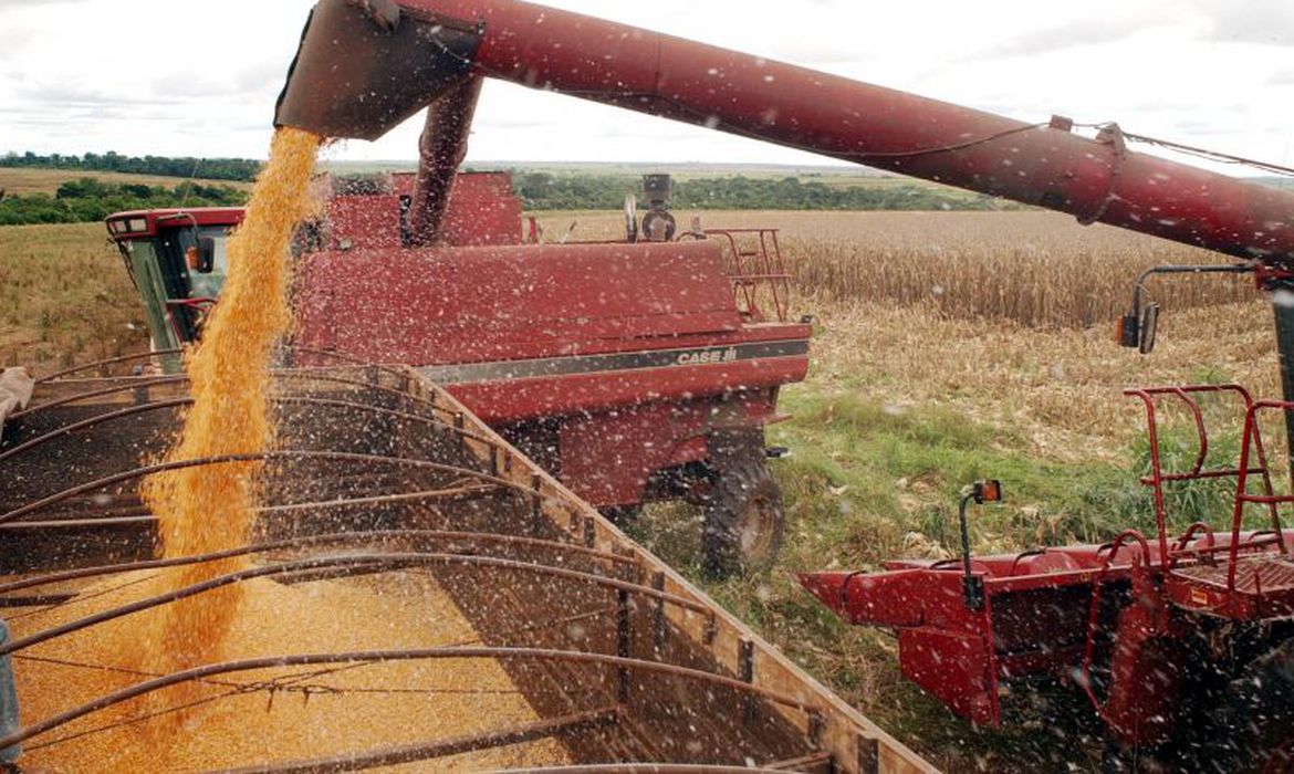 Estiagem e geadas impedem nova safra recorde de grãos em 2021
