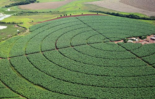 Brasil compõe G20 sobre agricultura sustentável na Índia