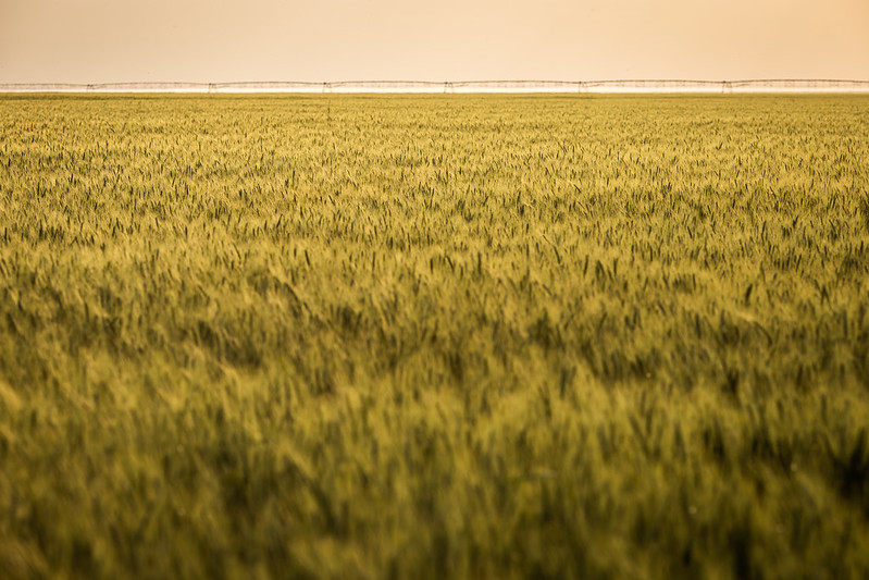 COP-26: CNA defende reconhecimento internacional de boas práticas do agro