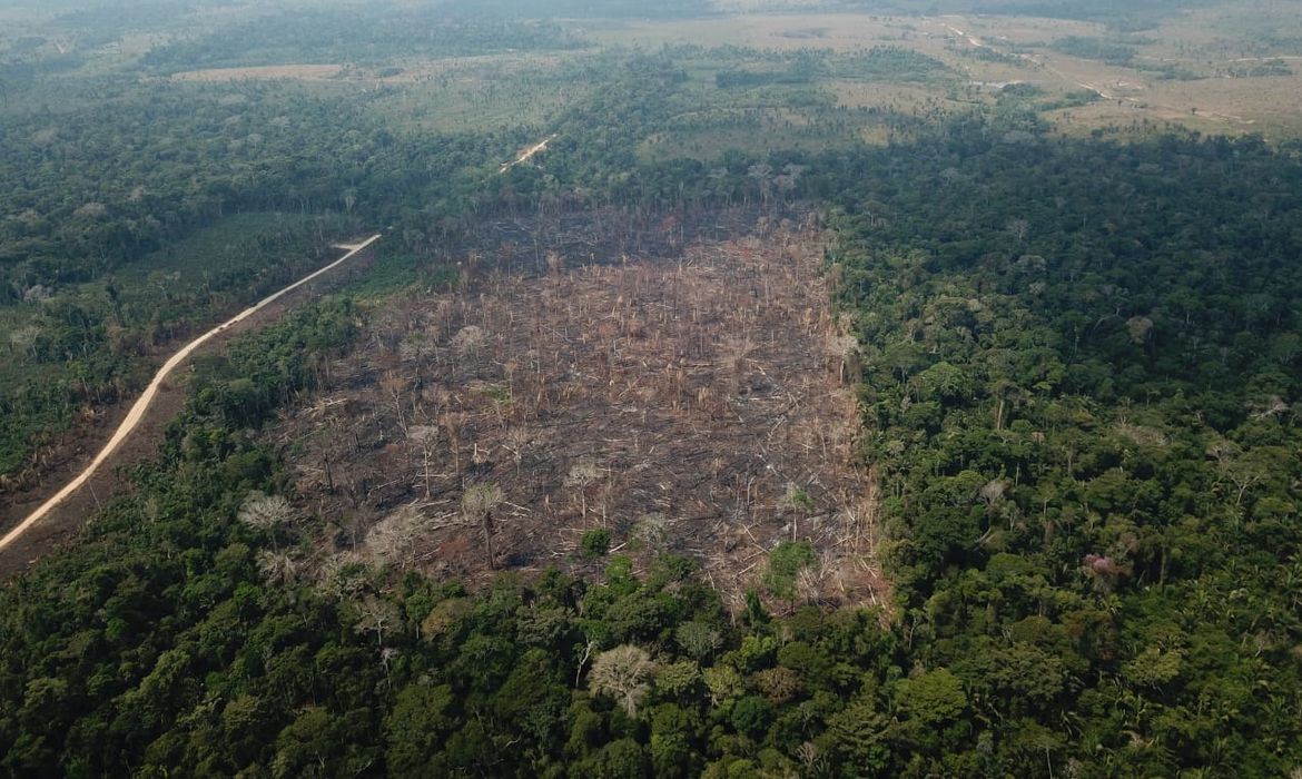 Desmate avança sobre a Amazônia e acende alerta para o agronegócio