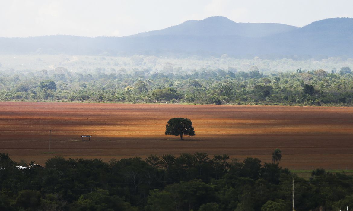 Debate na Câmara dos Deputados defende desmatamento zero para controle das mudanças climáticas