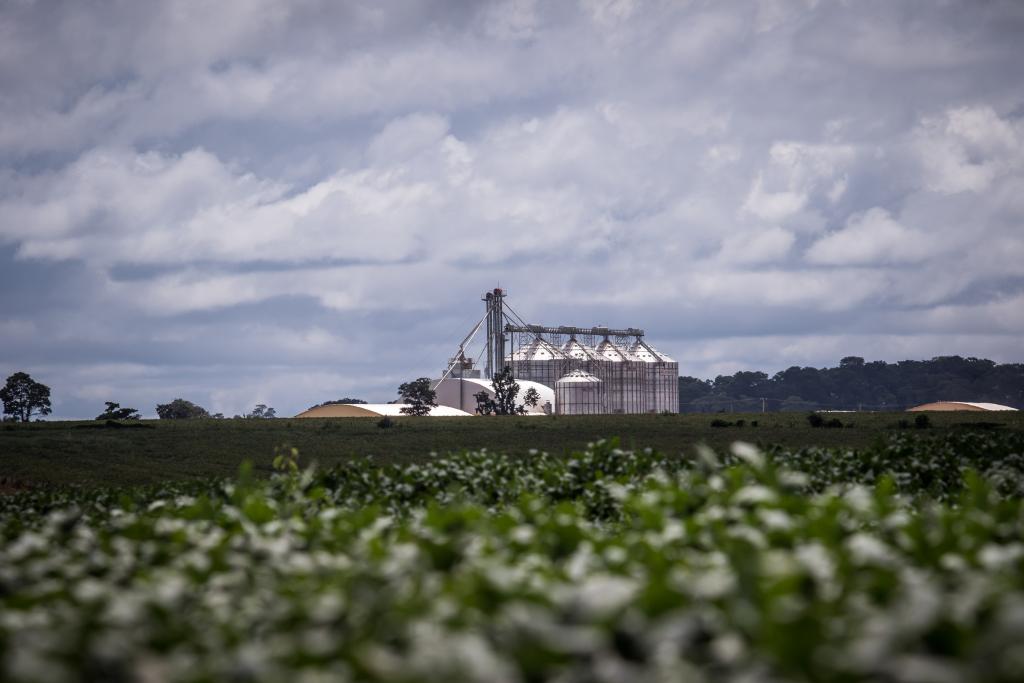 Pressão do agro trava contrapartidas em MT por empréstimo do Banco Mundial