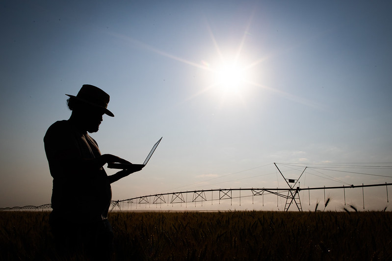 Projeções para 2023 devem ampliar oportunidades no agronegócio