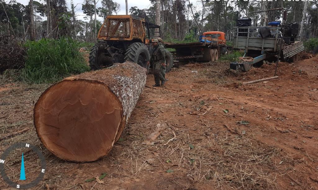 Operação Amazônia apreende máquinas e aplica R$ 5,1 milhões em multas