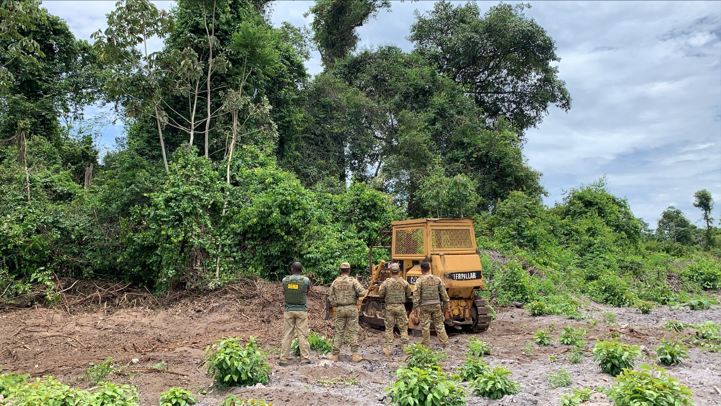 Combate avança e desmatamento na Amazônia é o menor em 4 anos