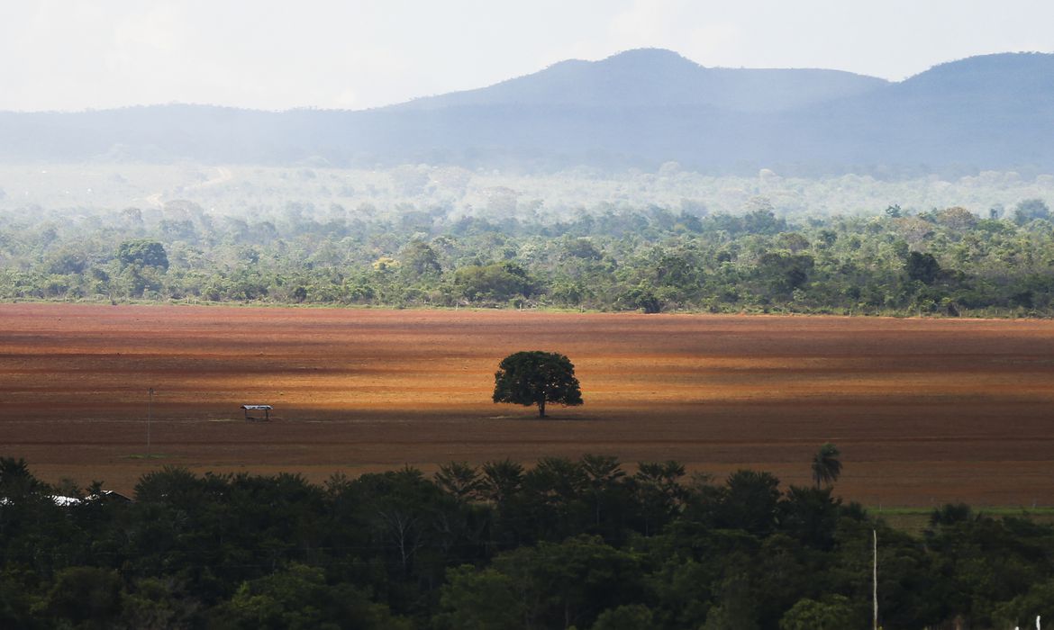 COP26: mudança climática já afeta produção agrícola em 28% do Centro-Oeste