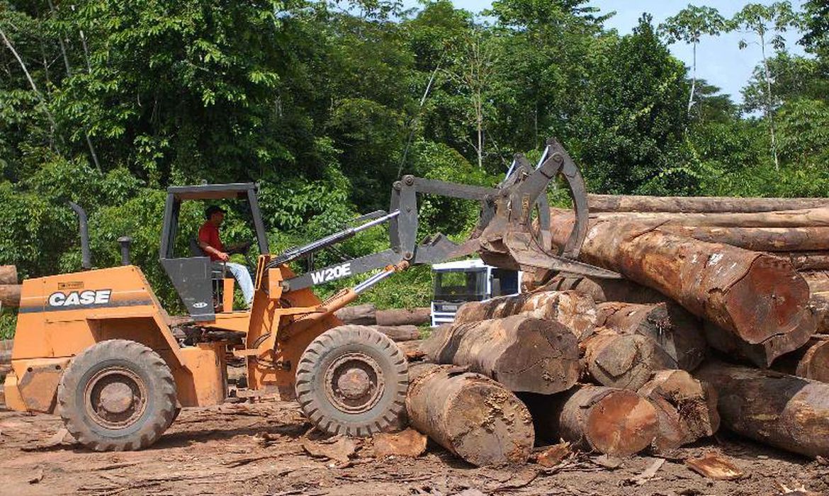 Amazônia registra recorde de desmatamento para o mês de outubro