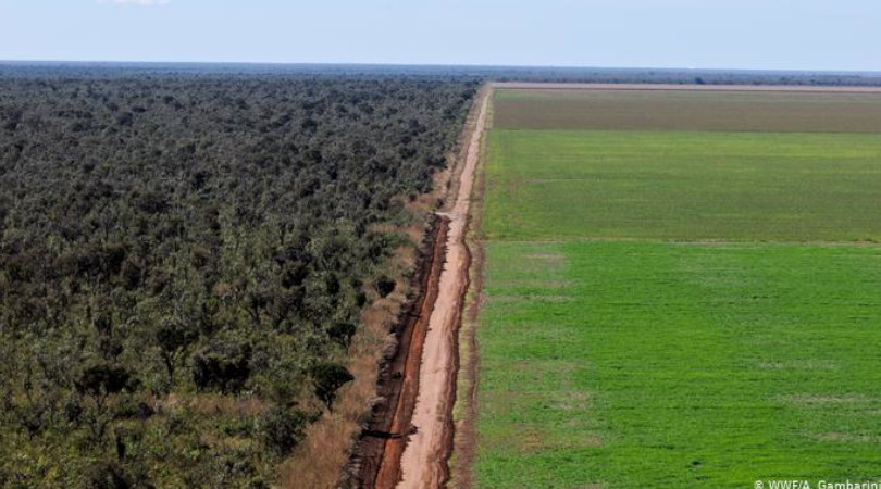 Agro tenta aliviar reflexos das novas exigências da União Europeia