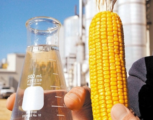 FS Bioenergia confirma nova usina de etanol com investimento de R$ 2,3 bi em MT