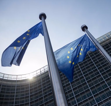 UE adota regras para impedir consumo e compra de áreas desmatadas