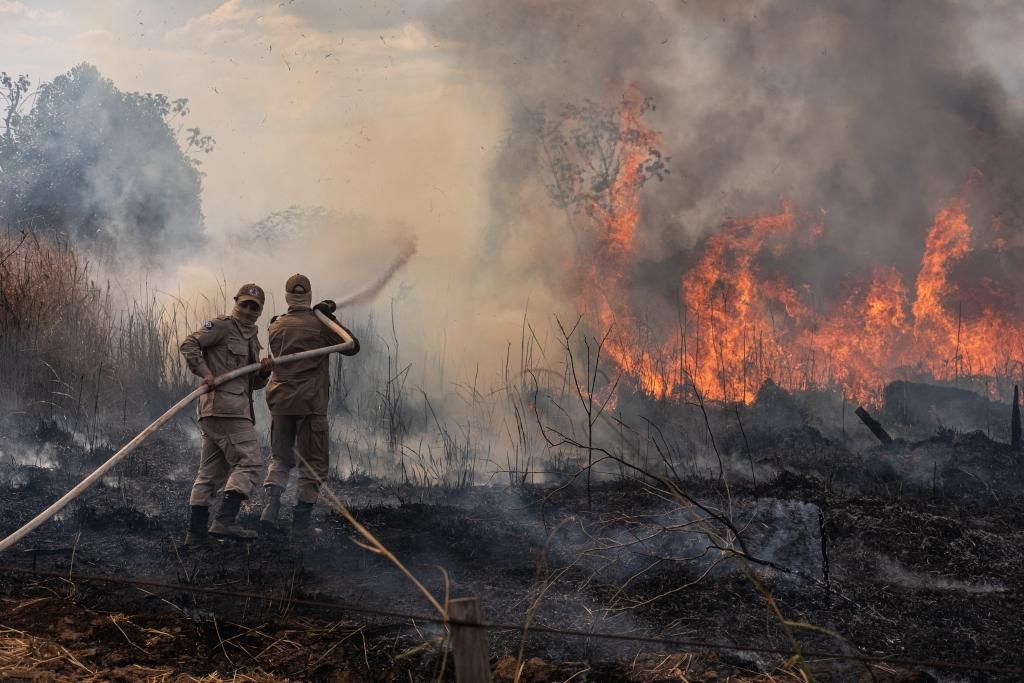 Workshop analisa desempenho de Corpo de Bombeiros na Temporada de Incêndios Florestais