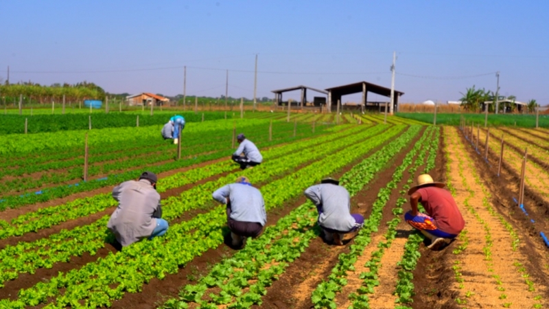 Lucas do Rio Verde está em fase final de liberação de crédito fundiário para agricultores