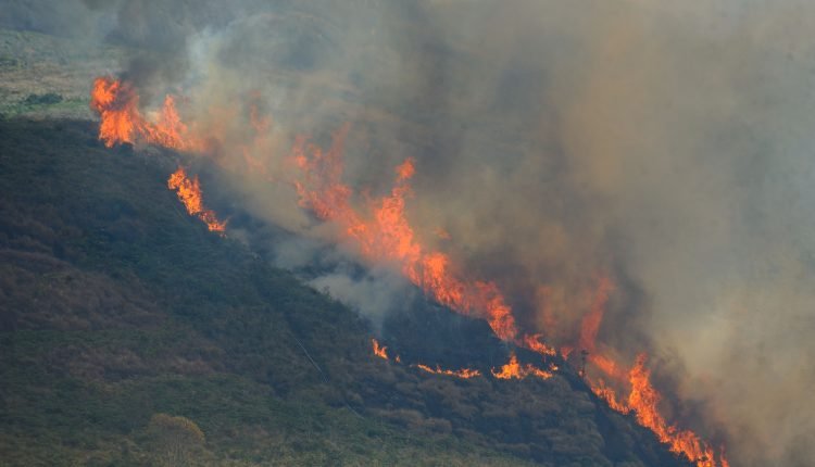 Enquanto governo defende sustentabilidade, MT lidera degradação da Amazônia