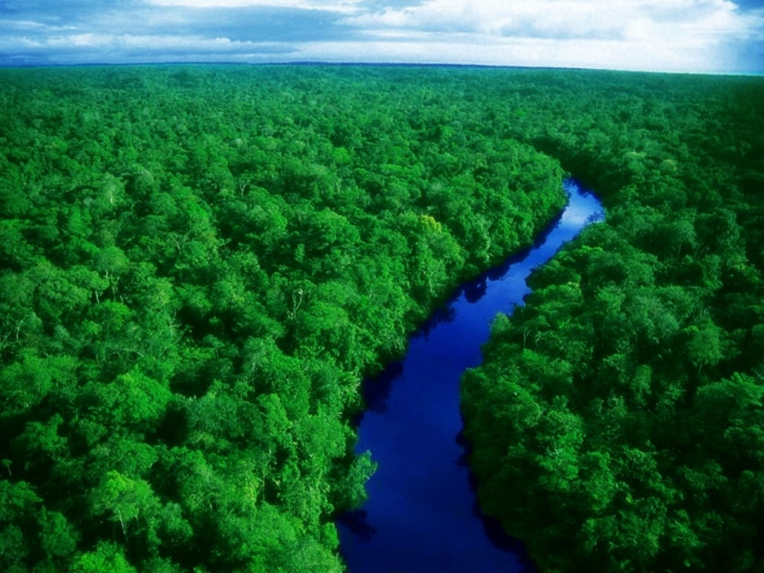 Primeiro projeto de REDD de Mato Grosso auxiliou na redução do desmatamento