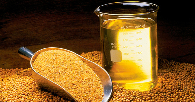 CNA: exportações de óleo de soja em bruto têm alta de 862,1% em outubro