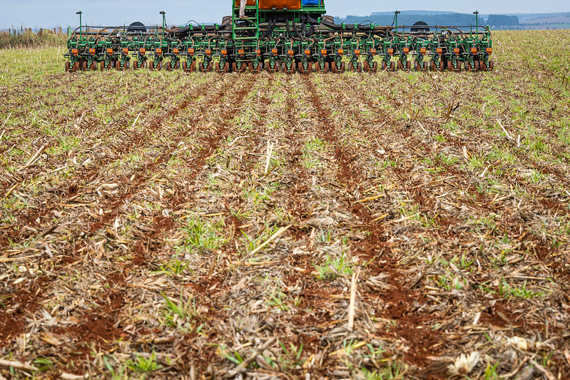 Plantio da safra 2021/22 de soja atinge 90% no Brasil, diz AgRural