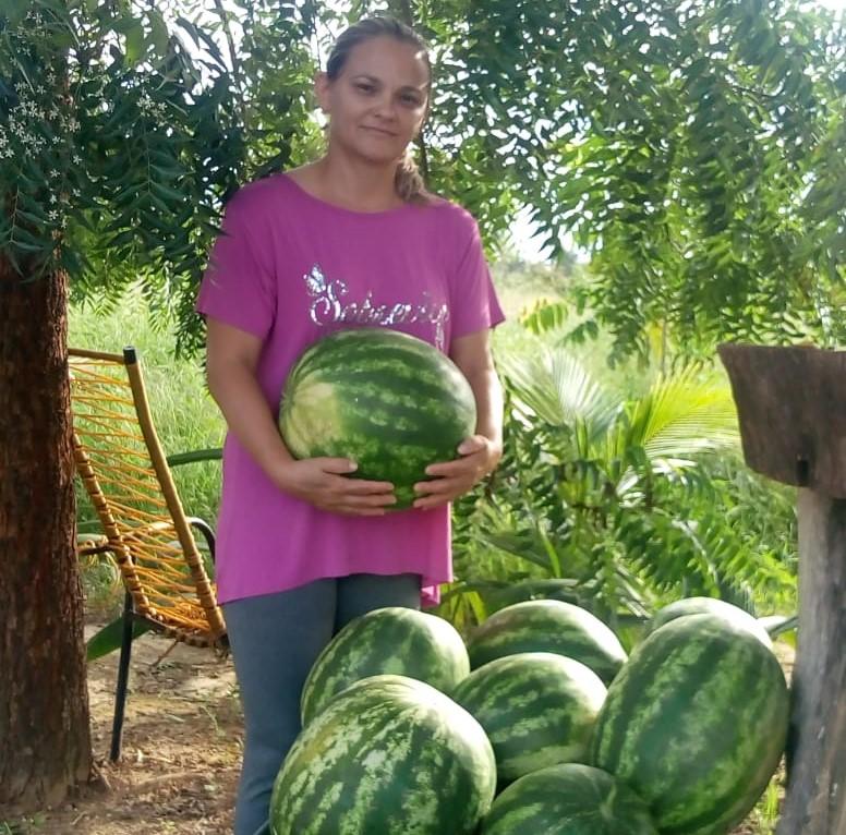 Agricultores são selecionados para fornecer hortifrutigranjeiros às escolas de Alto Boa Vista