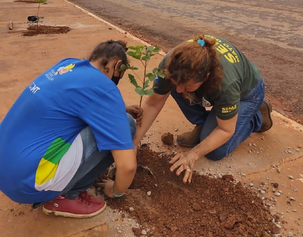 Programa de rastreabilidade traz segurança para o agro