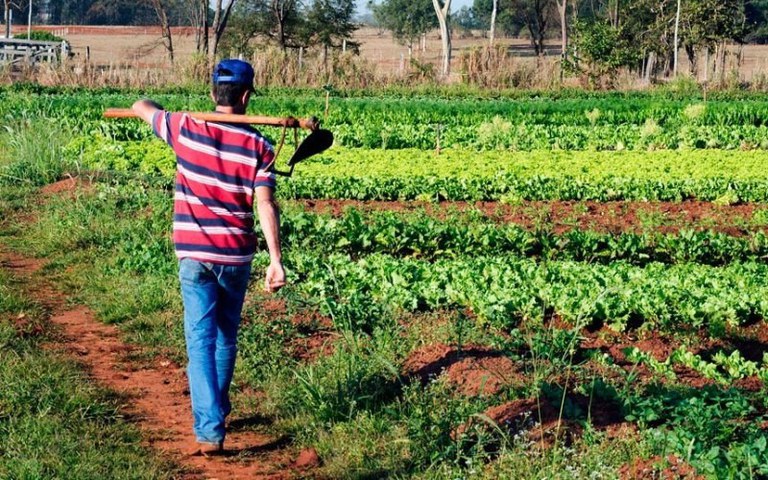 Governo regulamenta Alimenta Brasil com acesso de agricultor familiar ampliado para R$ 12 mil