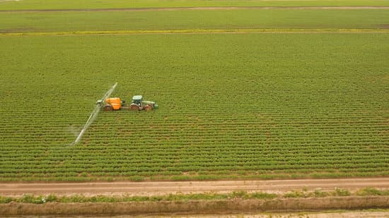 Importação recorde de adubo pelo Brasil garante oferta, apesar da crise