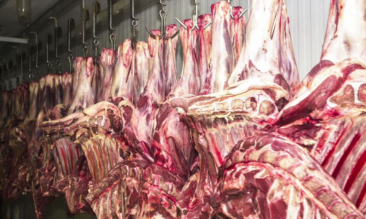 Exportações totais de carne bovina caíram 47% em novembro, diz Abrafrigo