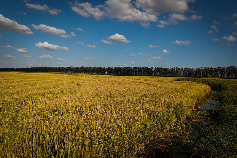 Portal oferece análise gratuita do comércio agrícola mundial