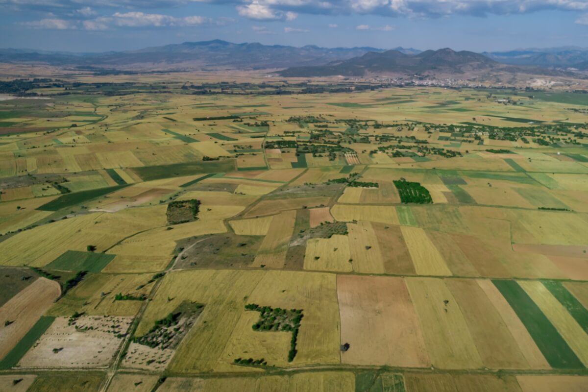 Infográfico mostra detalhes sobre regularização ambiental em MT