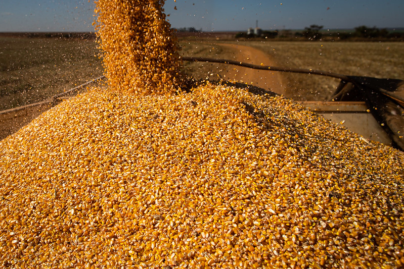 Ipea prevê cenário positivo para a produção agrícola em 2022