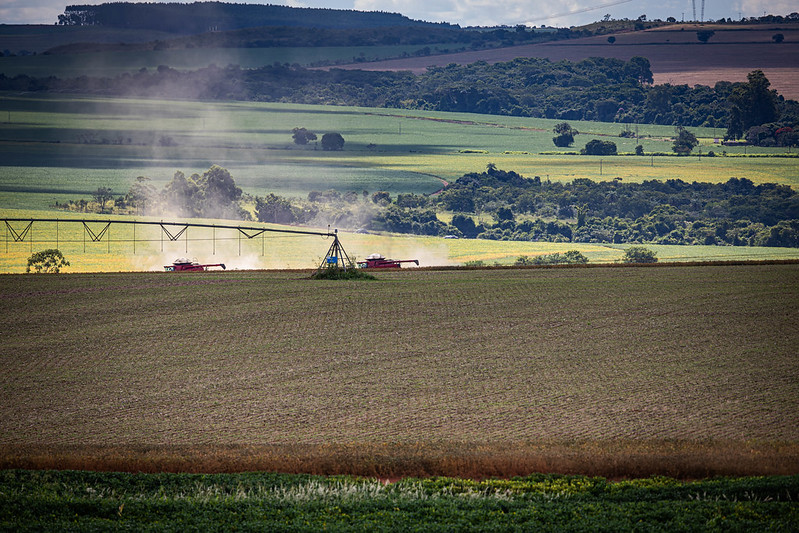 Área plantada com soja na safra 21/22 atinge 94%, diz AgRural