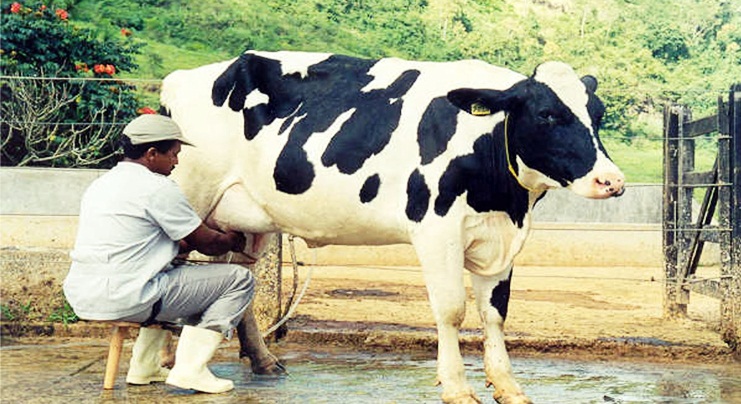 População ocupada no agronegócio chega ao maior número desde 2015