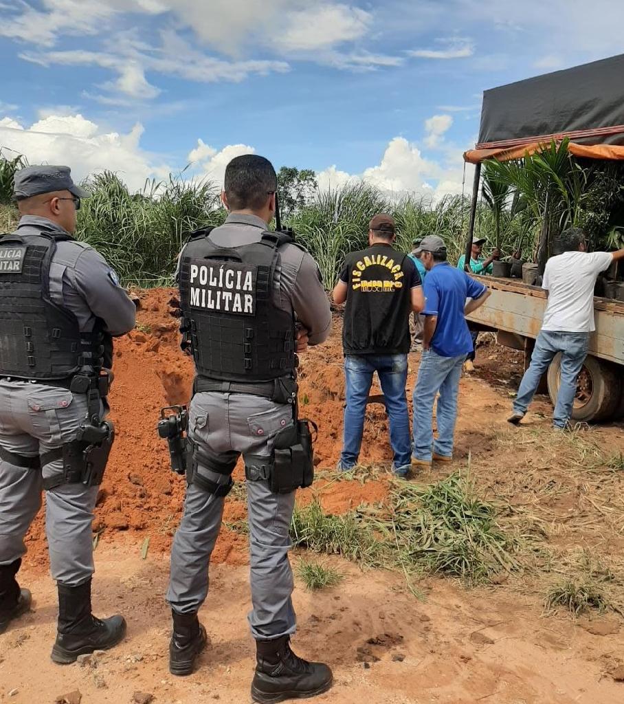 Venda ambulante de mudas ameaça a agricultura de MT, alerta Indea