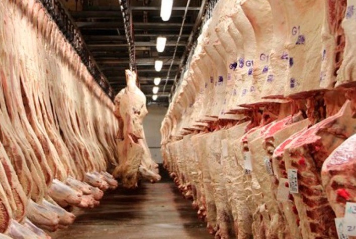 BNDES amplia fiscalização sobre abate de bovinos em novos contratos