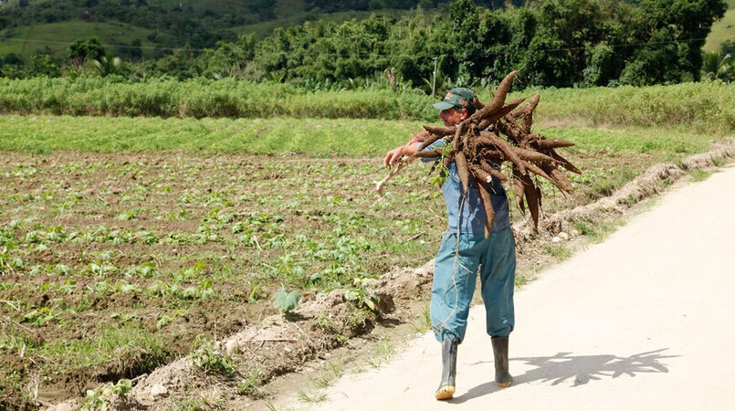 Garantia-Safra autoriza pagamento para mais de 74 mil agricultores familiares em janeiro