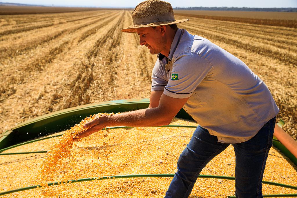 Mato Grosso lidera produção agropecuária brasileira por quatro anos consecutivos