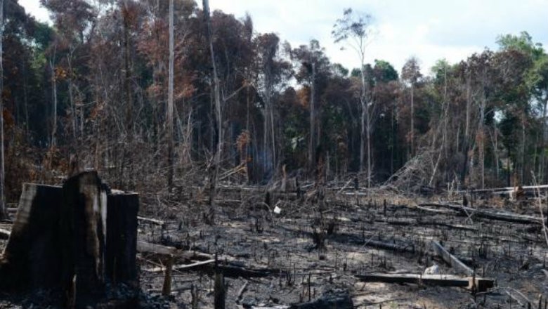 Desmatamento e queimadas explodem na Amazônia