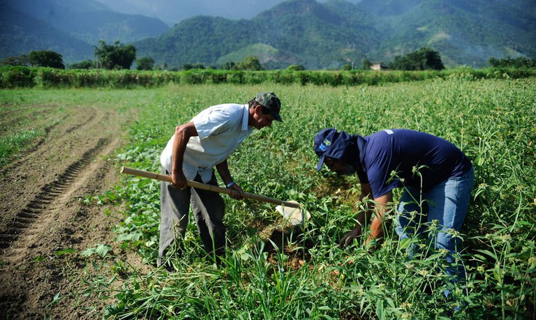 Crédito rural cresceu 30% de julho a dezembro de 2021