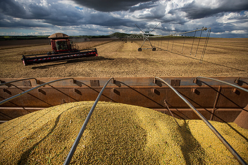 Clima desfavorável reduz produção nacional de soja no Brasil