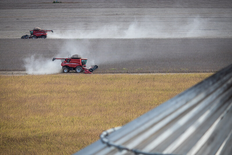 Chuva nas próximas semanas pode afetar produtores de soja do Mato Grosso
