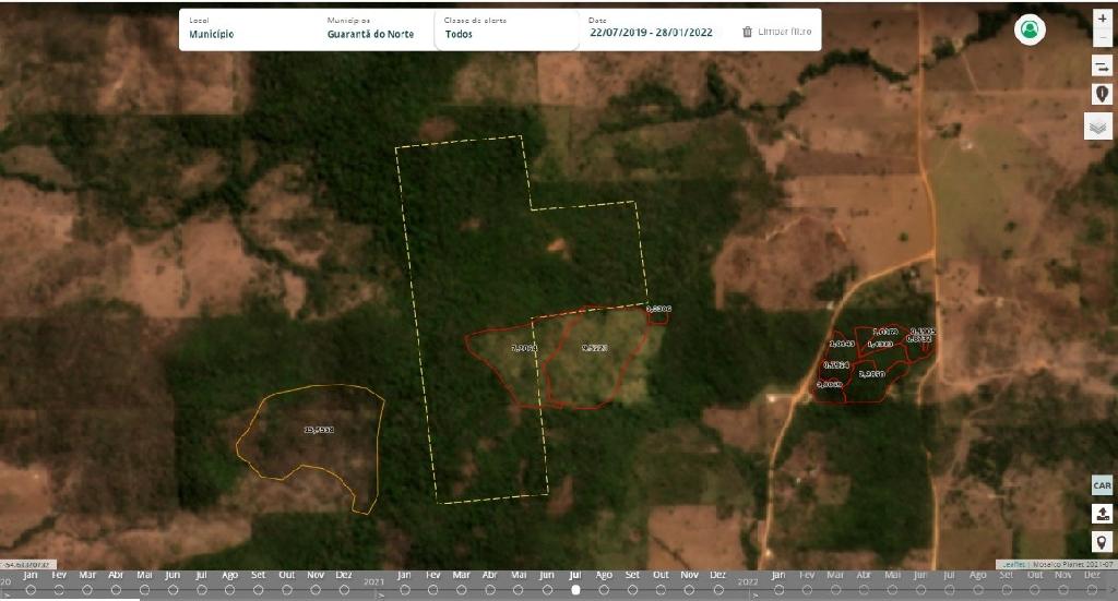 Monitoramento via satélite flagra crime ambiental em Guarantã do Norte